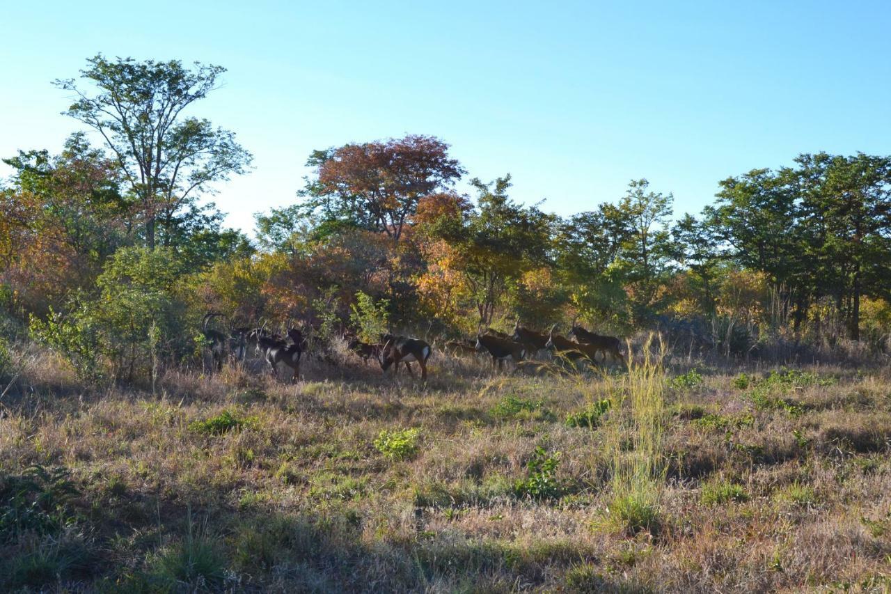 Chobe Sunset Chalets Lesoma Экстерьер фото