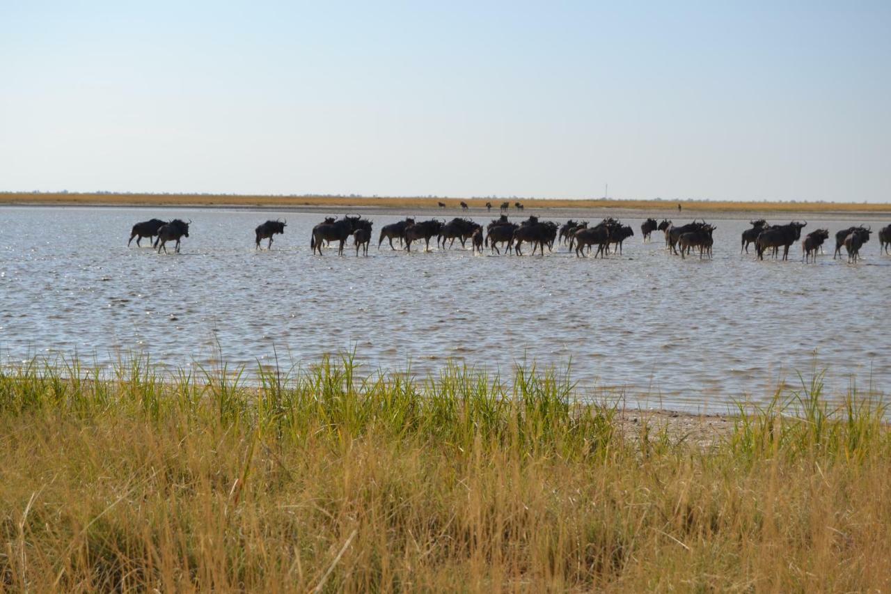 Chobe Sunset Chalets Lesoma Экстерьер фото